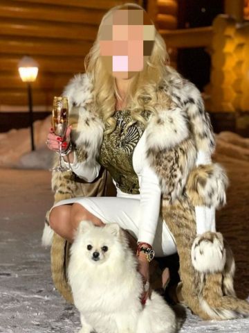 Стелла